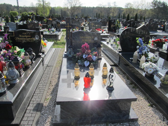 Grób Andrzej Mróz
